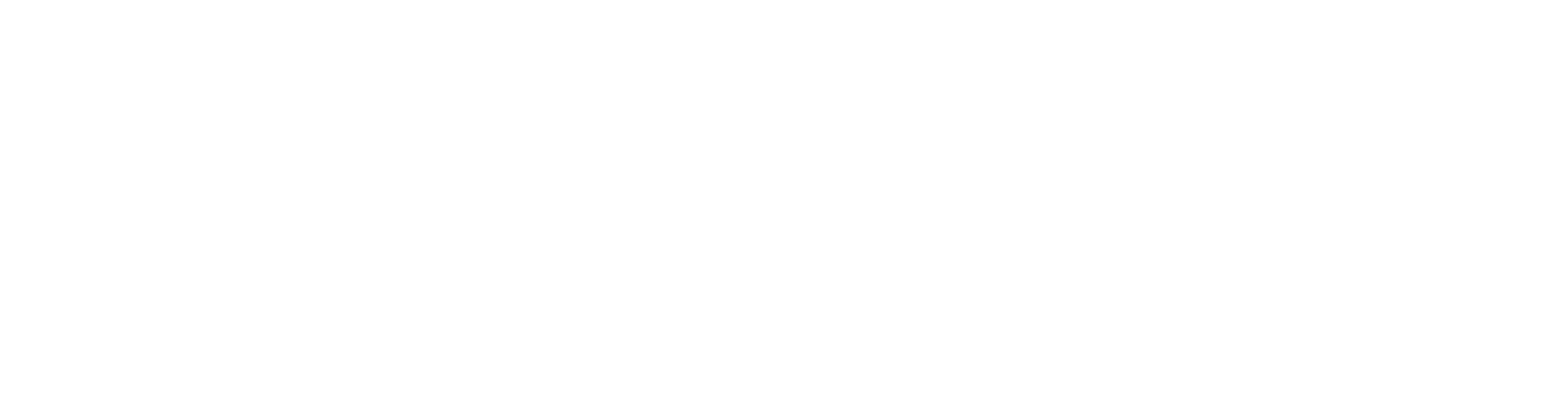 Playo Logo