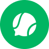 Playo logo